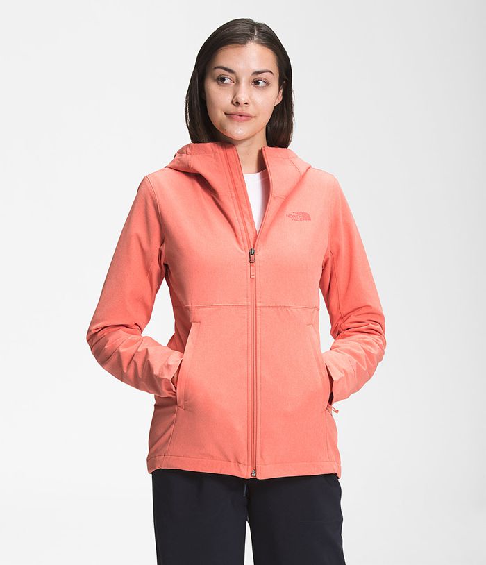 Chaqueta Softshell The North Face Mujer Naranjas Shelbe Raschel Sudadera Con Capucha 90652AEQW